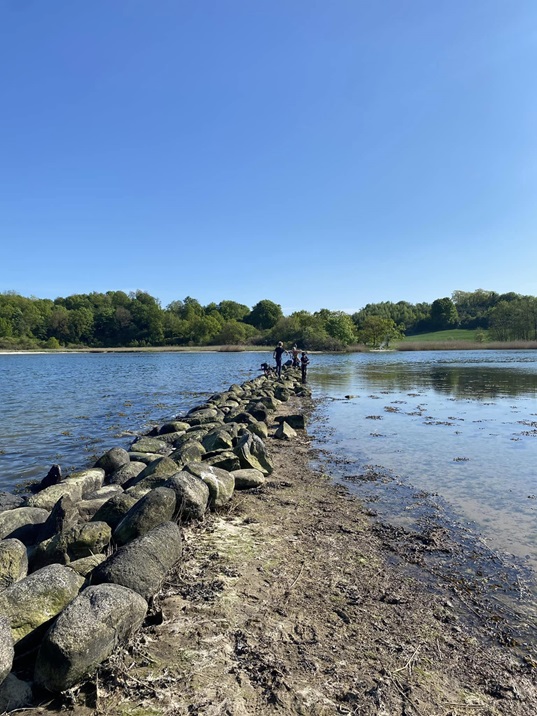 Lyshøjgruppen image