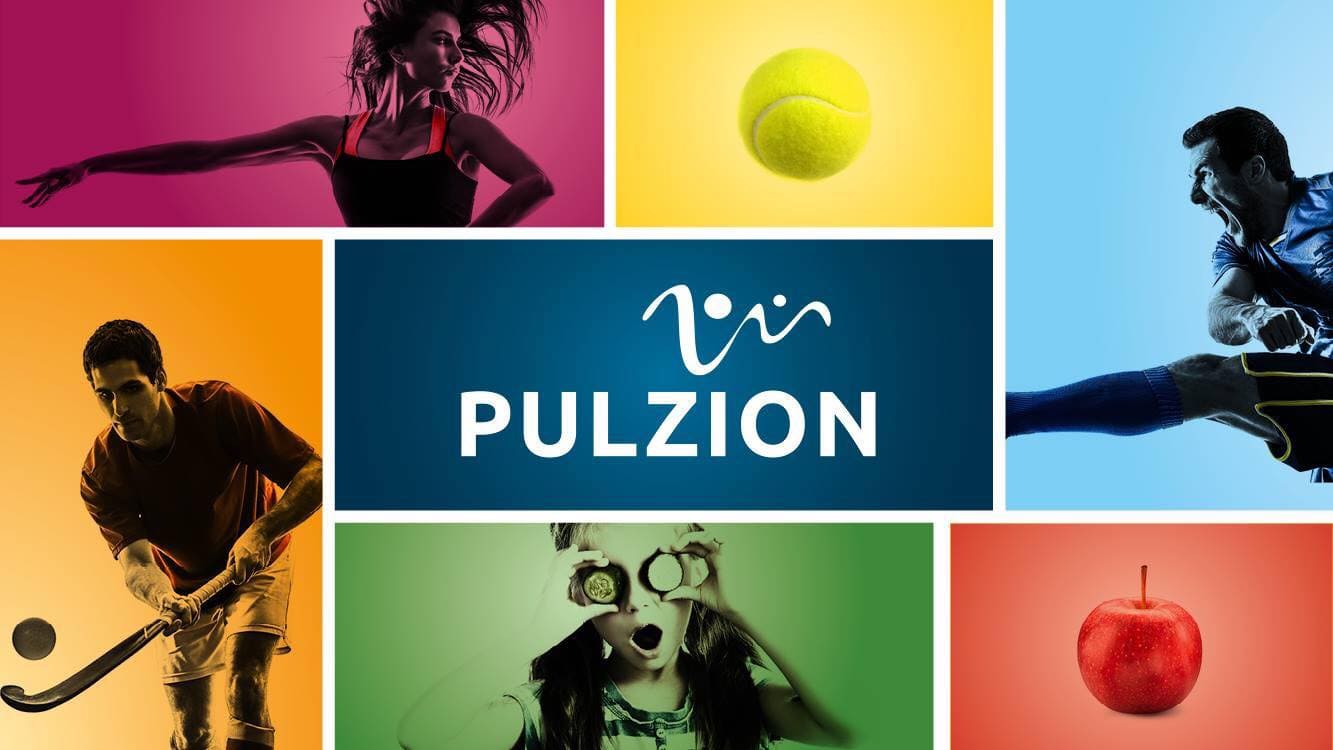 Pulzion image